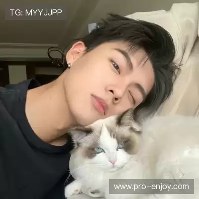 凤万宇
